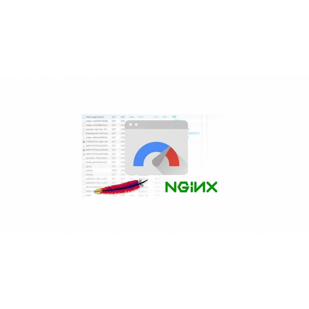 module - Website Performance - PageSpeed Insights - 2
