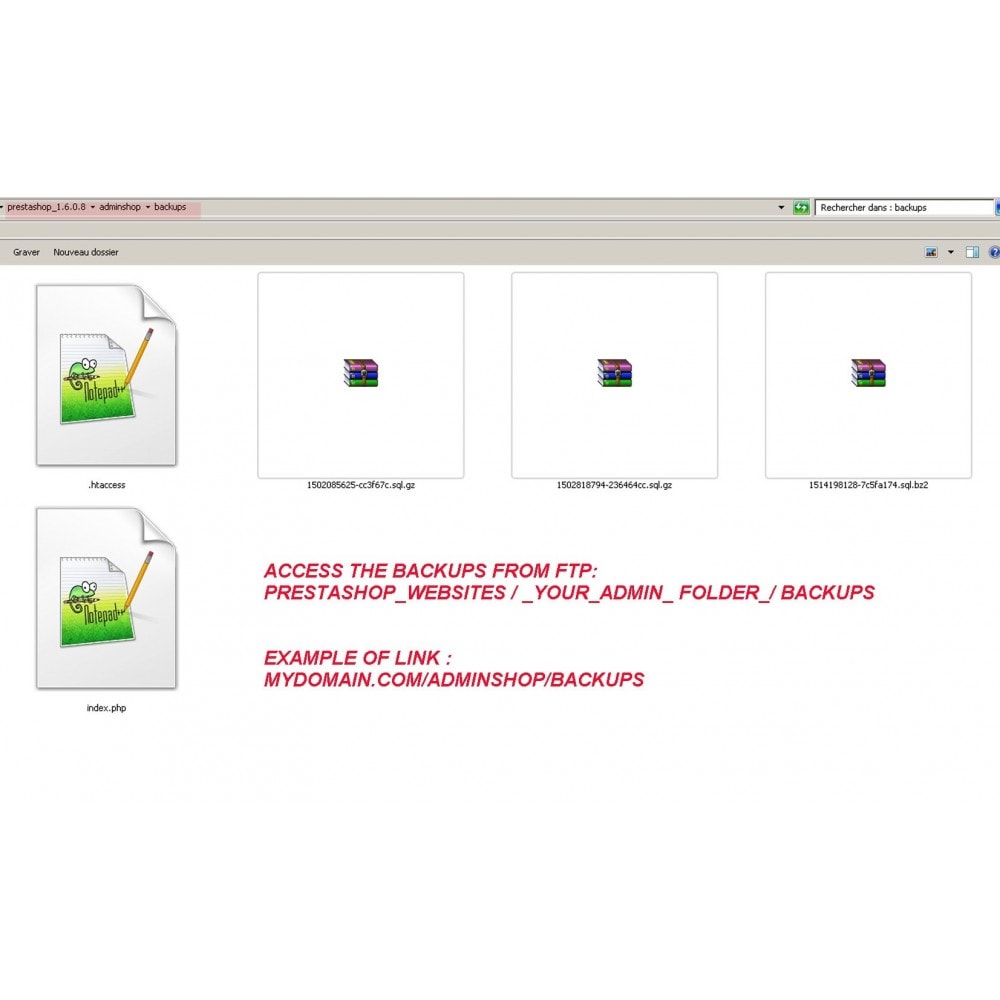 backupdatabase